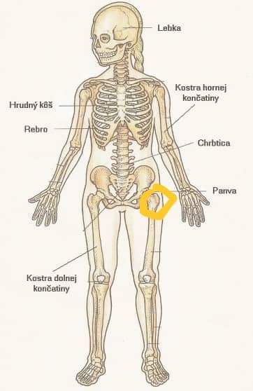 Prečo kamarátku bolieva panva?