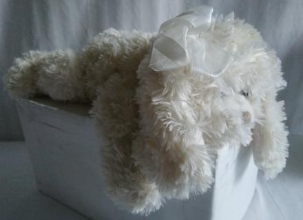 Plyšový psík tiffany off s mašľou, bukowski, 36 cm, 