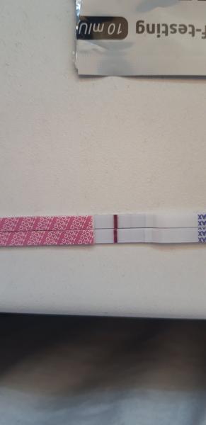 Som 12 dní po ovulácii. Je tento test pozitívny?