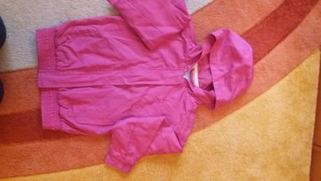 Tensia bundicka , l.a. gear,128