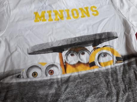 Tričko s mimoňmi, 104