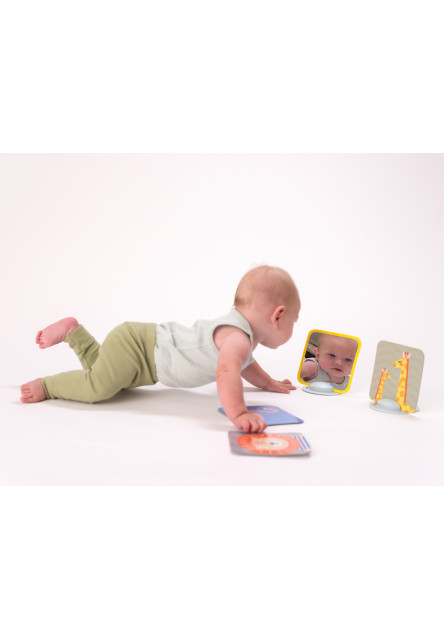 Taf toys sada kariet,