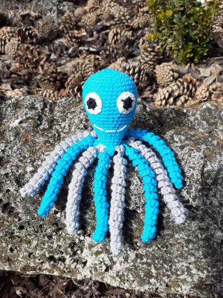 Hackovana chobotnicka, 