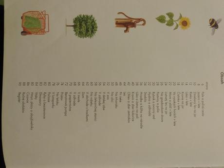 Obrázkový slovník pre deti, ktoré chcú vedieť viac, 