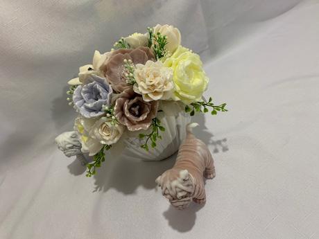 Mydlova kytica s mydlovim psikom, 