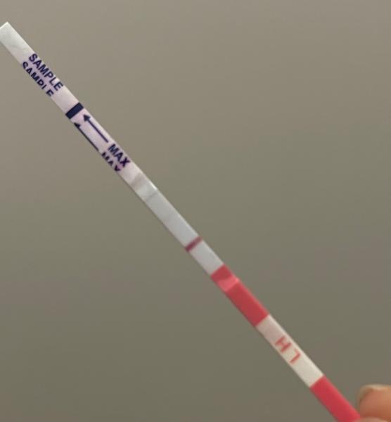 Mešká menštruácia a test je negatívny. Čo robiť?