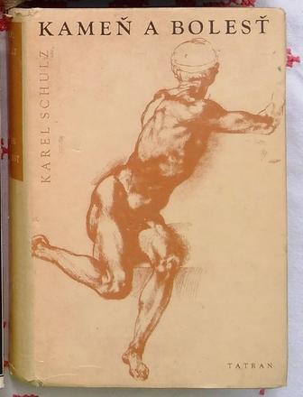 Kameň a bolesť, 