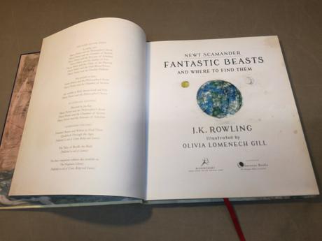 Newt scamander fantastic beasts and... au22,