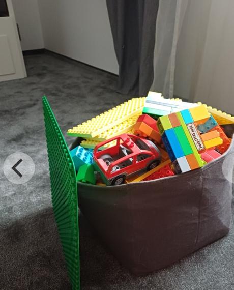 Lego duplo asi 10 sad, 