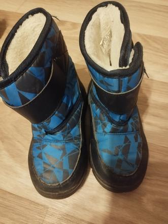 Zimné snehule, lupilu,25