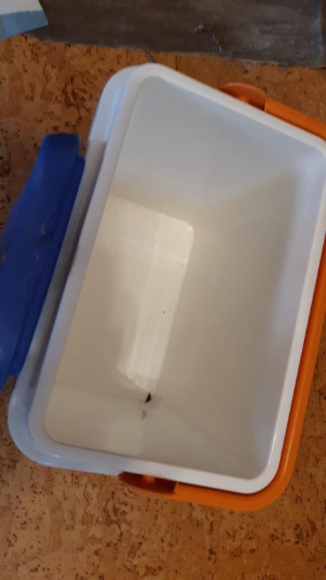 Predám plastovú chladničku., 