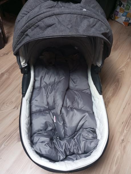 Kočik camarelo, camarelo,camarelo malaga