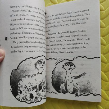 Meerkant madness top stav,