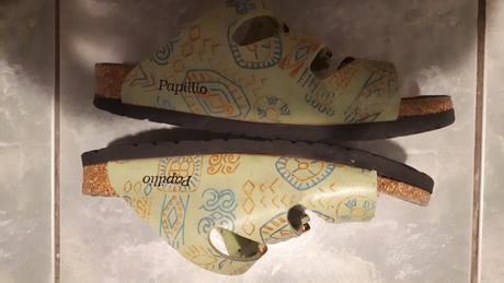 Slapky anatomicke, 31