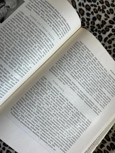 Dejiny svetovej literatúry 1 - kolektiv autorů,