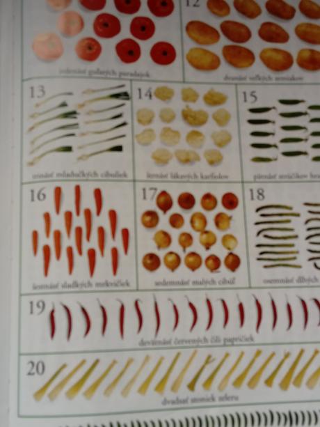 Moja prva kniha o cislach, 