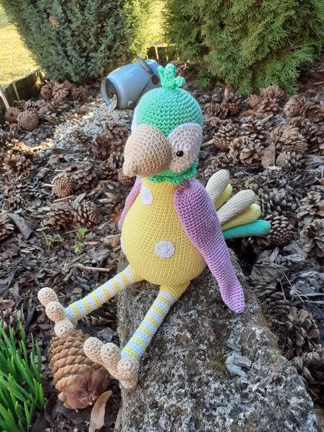 Háčkovany papagaj, 