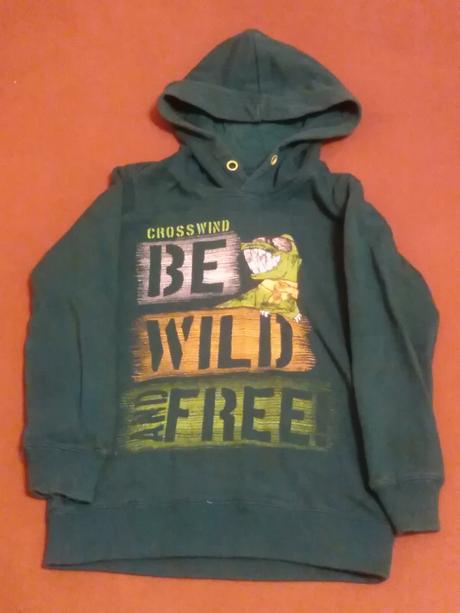 Mikina s dinosaurom, dopodopo,110