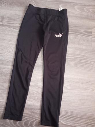 Legíny, puma,152