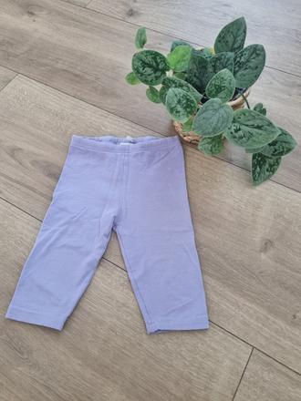 Fialové kraťase, gate,104