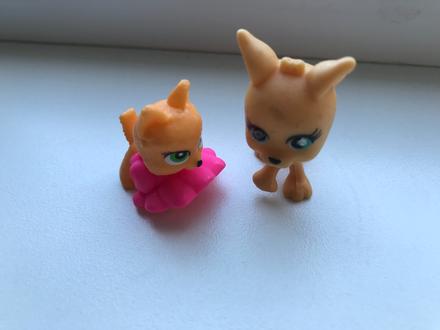 Mini mačičky - 2 ks, 