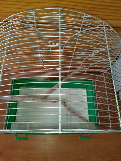 Klietka pre vtáčika,
