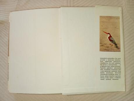 Ázijské poviedky, 1976,