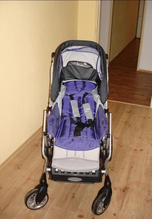 Kočík gesslein, gesslein