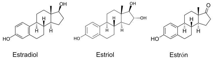 Estrogén, estriol a estrón