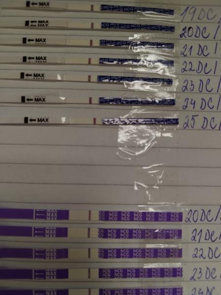 Som 11 dní po ovulácii. Vidíte tam niečo?