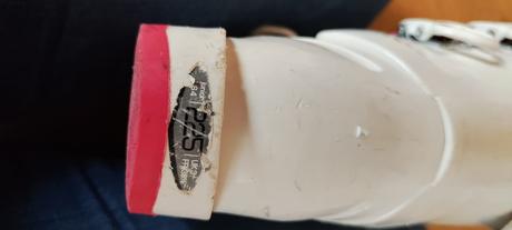 Lyziarky alpina, alpina,25