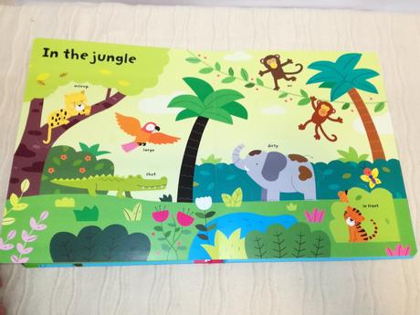 Usborne lift the flap colours, 