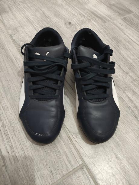 Puma bmw motorsport, puma,40