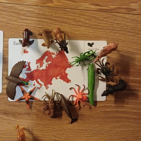 Zvieratá kontinentov, 