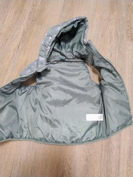 Vesta dinosaurus, 134