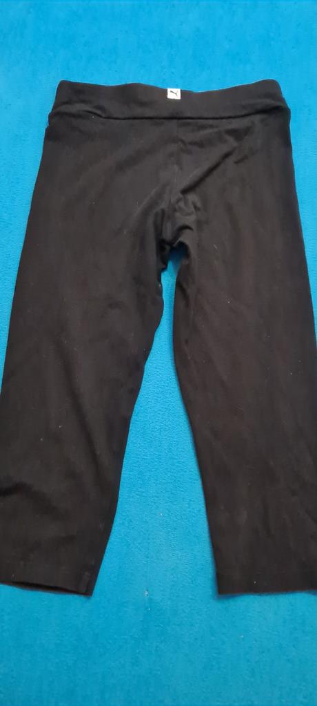 Kratke nohavice, puma,152