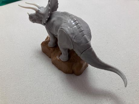 Triceratops kinder, 