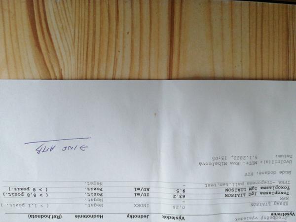 Čakám dvojičky a mám vysoké hodnoty toxoplazmy v 13. týždni. Čo mi odporúčate?