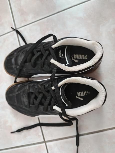 Halovky puma, puma,34