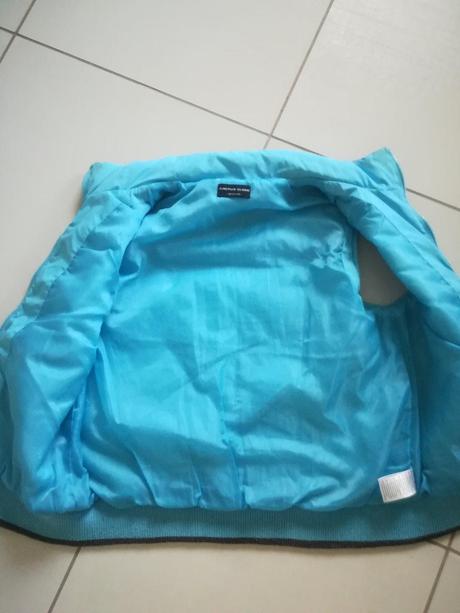 Vesta, cactus clone,134