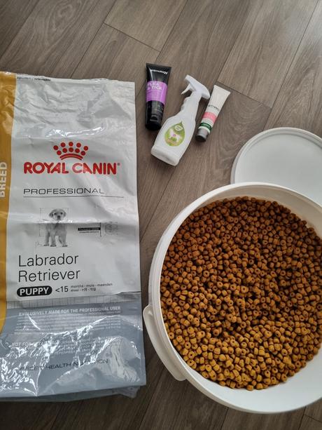 Granule pre šteňa labradora royal canin, 