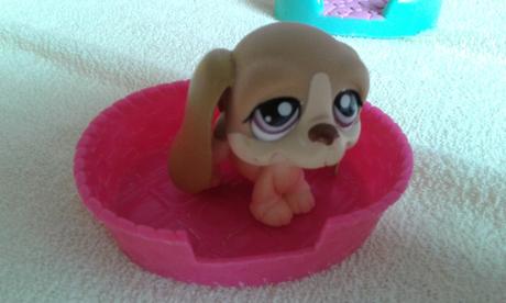 Littlest pet shop, 