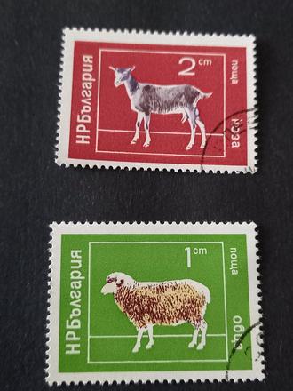 Poštové známky ovca a koza bulharsko 1974, 