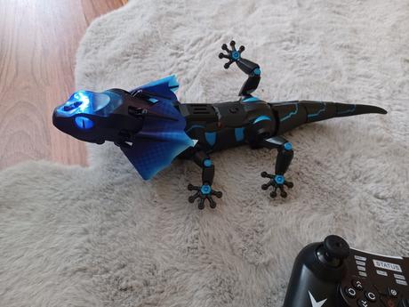 Predám jastericu na ovládanie, 