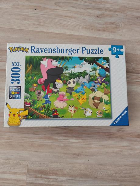 Puzzle pokémon, 