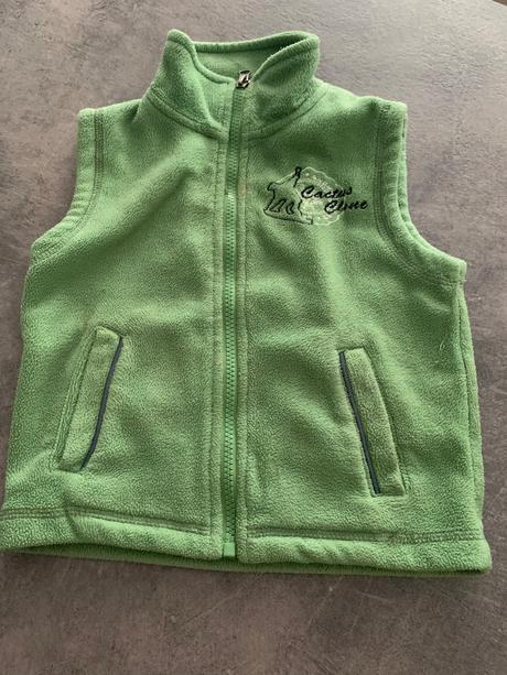 Vesta cactus clone, cactus clone,98