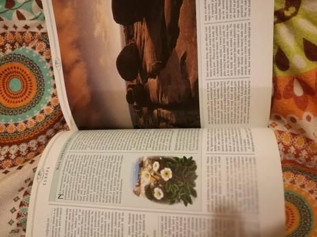 Kniha čarovný svet, 