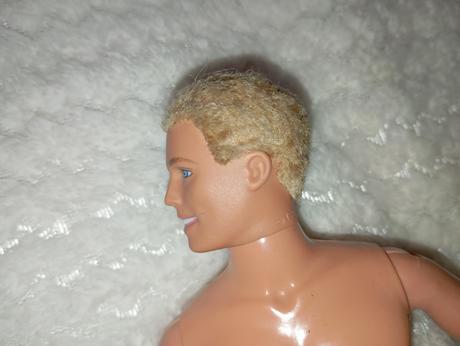 Barbie ken chlapci 1, 
