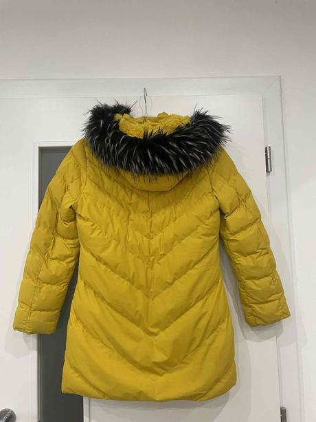 Vetrovka zimná horčicova, 152