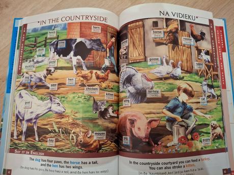 Anglicko slovensky ilustrovaný slovník, 